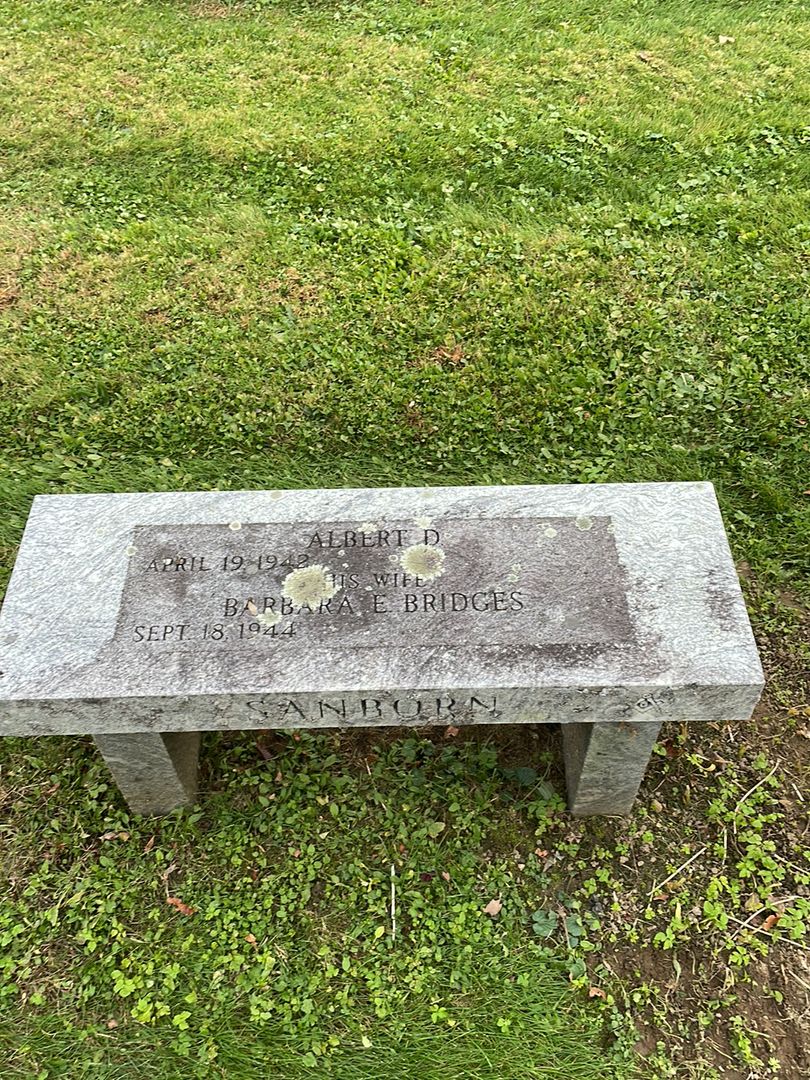 Albert D. Sanborn's grave. Photo 1